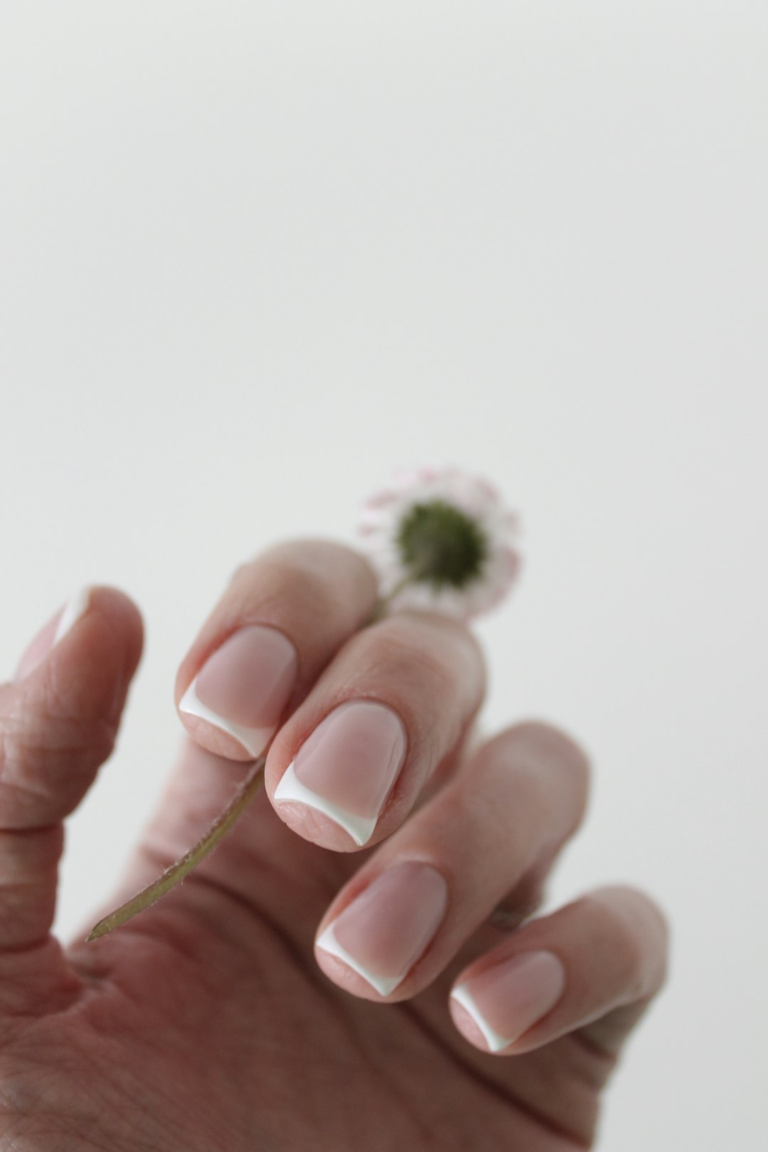 Soft botanical manicure inspiration for a fall vineyard nail look