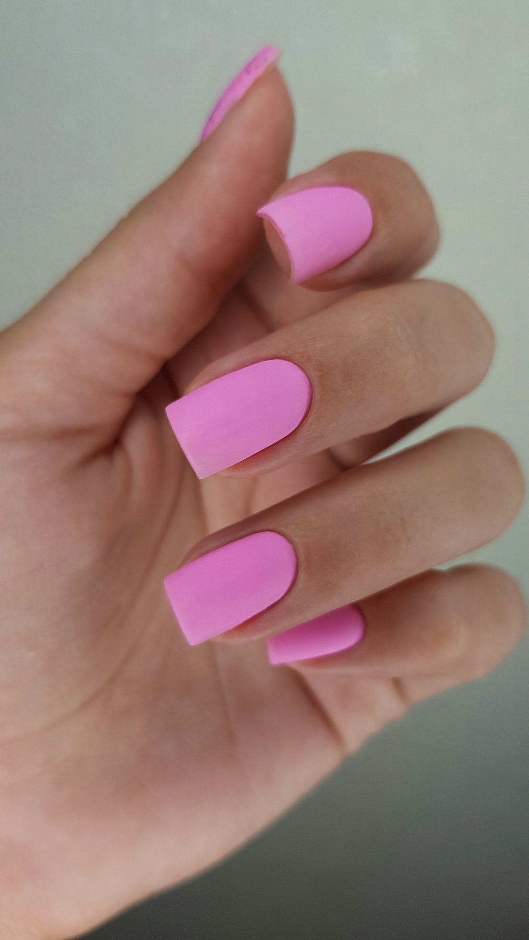 Matte plum and burgundy almond manicure inspiration for fall 2026